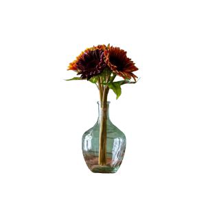 Porch View Home Porch View Home Field Sunflower Bundle - $22.99 at Murdoch's Ranch & Home Supply