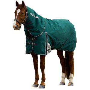Weatherbeeta WeatherBeeta Comfitec Plus Dynamic Turnout Detach-A-Neck 220G Horse Blanket in Forest Green/Navy | Size 69" - $219.99 at Murdoch's Ranch & Home Supply
