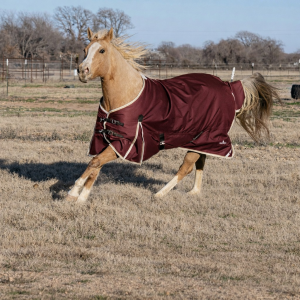 Classic Equine Classic Equine 4K Horse Blanket in Maroon | Size Small - $159.99 at Murdoch's Ranch & Home Supply