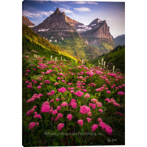 Rocky Mountain Publishing Rocky Mountain Publishing Bombshell Wrap Wall Art | Size 20" x 30" - $149.99 at Murdoch's Ranch & Home Supply