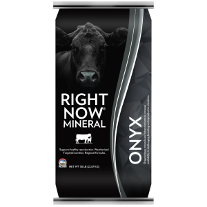 Right Now Mineral Right Now Mineral Onyx Black Cattle Mineral | Size 50 lbs - $31.99 at Murdoch's Ranch & Home Supply