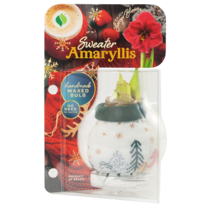 Degroot DeGroot Christmas Series Tree Sweater Amaryllis Blub - $17.99 at Murdoch's Ranch & Home Supply
