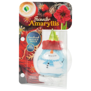 Degroot DeGroot Christmas Series Snowman Sweater Amaryllis Blub - $17.99 at Murdoch's Ranch & Home Supply