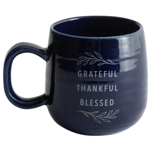 Dayspring DaySpring Grateful Thankful Blesses Ceramic Mug - $12.99 at Murdoch's Ranch & Home Supply