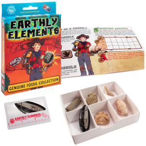 Channel Craft Channel Craft Earthly Elements Fossil Collection - $9.99 at Murdoch's Ranch & Home Supply