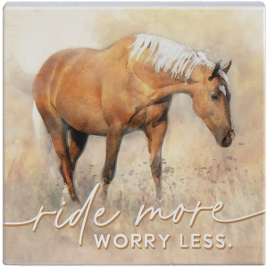 Sincere Surroundings Sincere Surroundings Ride More Horse Box SIgn - $9.99 at Murdoch's Ranch & Home Supply