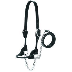 Weaver Leather Heifer Rounded Show Halter in Black