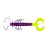 Shrimp