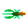 Craw