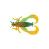 Cricket