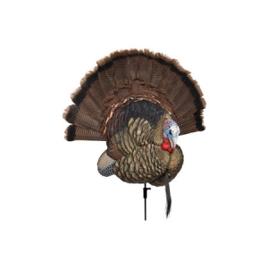Avian X Taxidermy Turkey Decoy