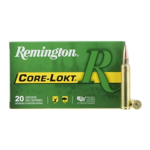 Remington Remington 300 Win Mag 180 gr PSP Core-Lokt 20/Box