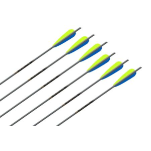 Ten Point XX75 Magnum 20-inch Crossbow Arrows 6-Pack