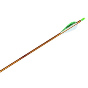 Easton Easton Genesis V2 Arrow - $6.99 at Sportsmans Outdoor Superstore