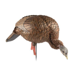 Avian X HDR Feeder Hen Turkey Species Multi-Color