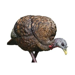Avian X LCD Feeder Hen Turkey Species Multi Color Dura-Rubber