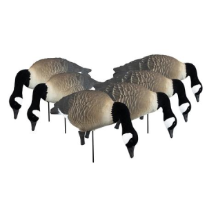 Higdon Apex Full Size Full Body Canada Goose Decoy 6 Pack