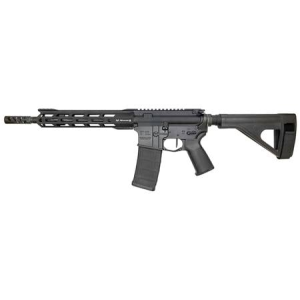 Rise Armament RA-300 223 Wylde AR Pistol with 11.5 in Barrel and SB Tactical Pistol Brace