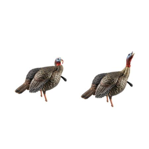 Avian X HDR Jake Turkey Decoy