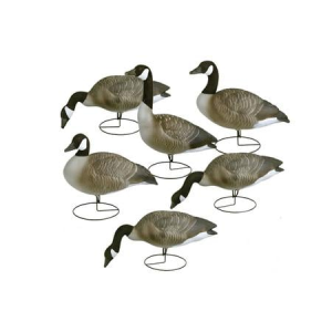 Flambeau Storm Front Canada Goose Decoys Full Body Flocked Heads 6-Pack