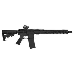 Nexgen Arms NexGen Arms NG-15 223 Wylde Semi-Auto Rifle w/ Vortex Triumph Red-Dot Sight - $479.99 at Sportsmans Outdoor Superstore