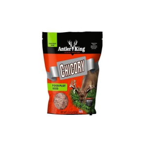 Antler King Perennial Chicory Food Plot Seed 1 lb