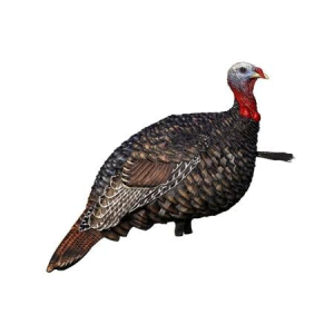 Avian X Quarter-Strut Jake Turkey Decoy