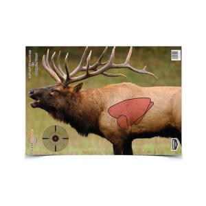 Birchwood Casey Pre-Game Elk Targets