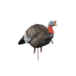 Higdon Hard Body 1/4 Strut Jake Turkey Decoy