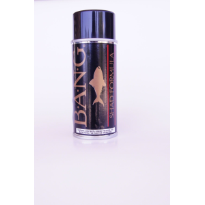 Bang Shad Formula 5oz Aerosol - Bang