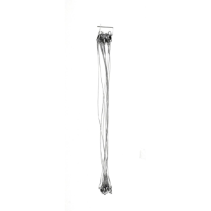 Eagle Claw BEL1230BL Leaders 12" - Eagle Claw