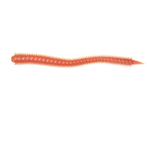 Sea Striker Scented Sand Worm 8", Natural, 12 pack - Sea Striker
