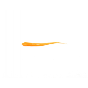 Clam Polli XL, Blaze Orange - Clam