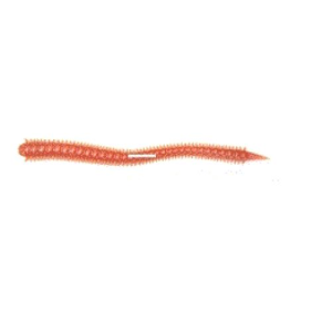 Sea Striker SS-SW6-NATURAL Scented - Sea Striker