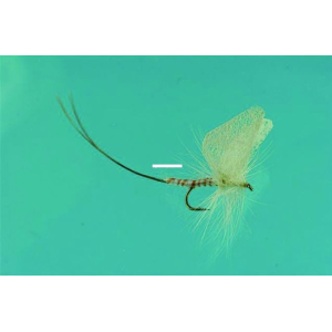 Jackson Cardinal 040-14 Dry Fly - Haydel's Game Calls