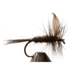 Jackson Cardinal 008-14 Dry Fly - Haydel's Game Calls