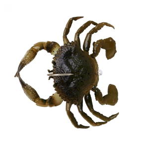 Savage Gear Duratech Crab 3/4" 1/4 oz RTF Green Crab 2 pc - Savage Gear