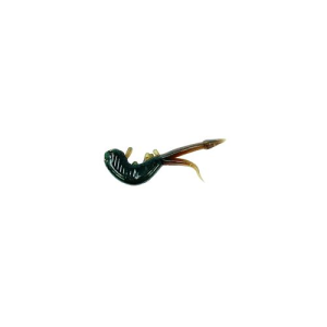Clam Scudi XL Motor Oil - Clam