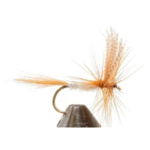 Jackson Cardinal 017-12 Dry Fly - Haydel's Game Calls