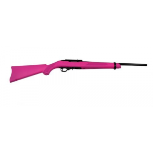 Ruger 10/22 Carbine .22 LR Semi Auto Rifle - Ruger