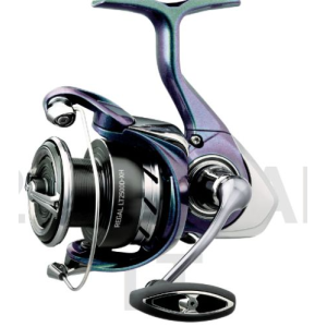 Daiwa Regal LT-B 6BB+1 5.2:1 Spinning Reel - Daiwa