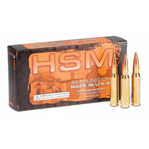  Match Boat Tail Hollow Point 308 Winchester 168 Gr 20 Round Box Ammo