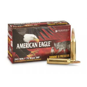 RICAN EAGLE VARMINT & PREDATOR 243WIN 75GR JHP 40RD BOX Ammo