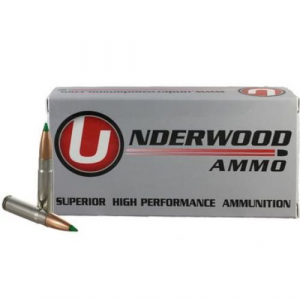 erwood Hunting Ballistic Tip 300 AAC Blackout 20 Round Box Ammo