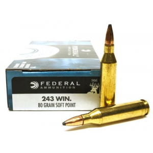 eral Power-Shok Soft Point 20RD 80gr 243 Winchester Ammo