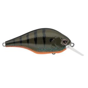 Daiwa Evergreen Zeruch Crankbait, 4 ft, Floating, Green Pumpkin Gill - Daiwa