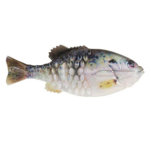 Berkley PowerBait - Pure Fishing