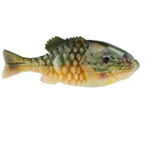 Berkley PowerBait - Pure Fishing