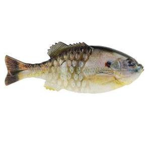 Berkley PowerBait - Pure Fishing