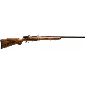 SAVAGE Arms 25 Lightweight Varminter Rifle | 19140
